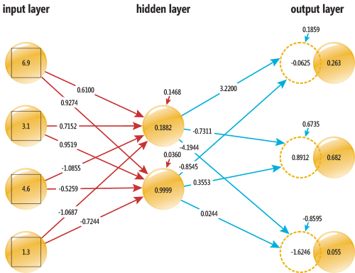 Neural Network Input-Output Mechanism