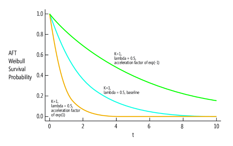 Accelerated Failure Time for the Weibull Survival Probability Function