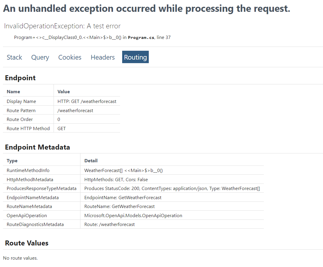 The new metadata information on the developer exception page