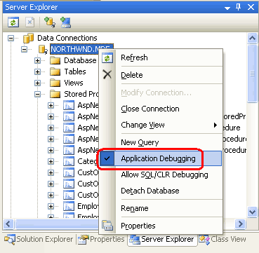 Ensure that the Application Debugging Option is Enabled