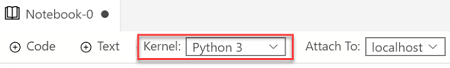 Screenshot that shows the Kernel value to Python 3.