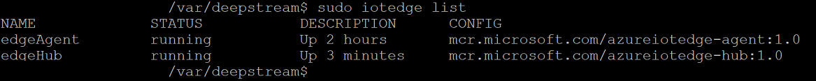 Screenshot that shows the output from the iotedge list.