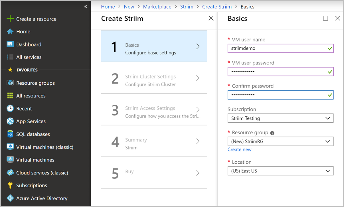 Screenshot of the Striim Basics pane.
