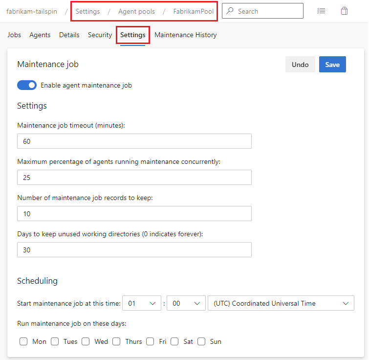 Screenshot that shows maintenance job settings.