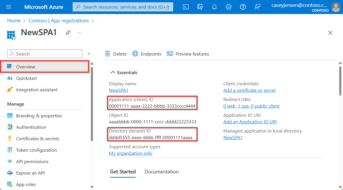 Screenshot that shows the identifier values on the overview page on the Azure portal.