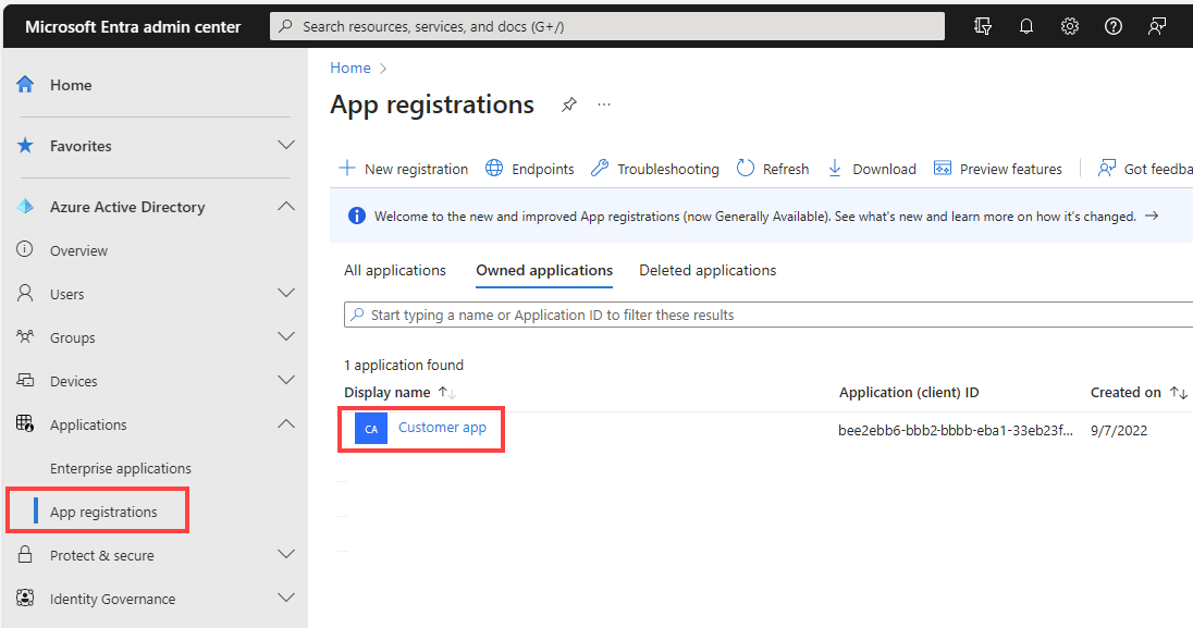 Screenshot of the overview page of the app registration.