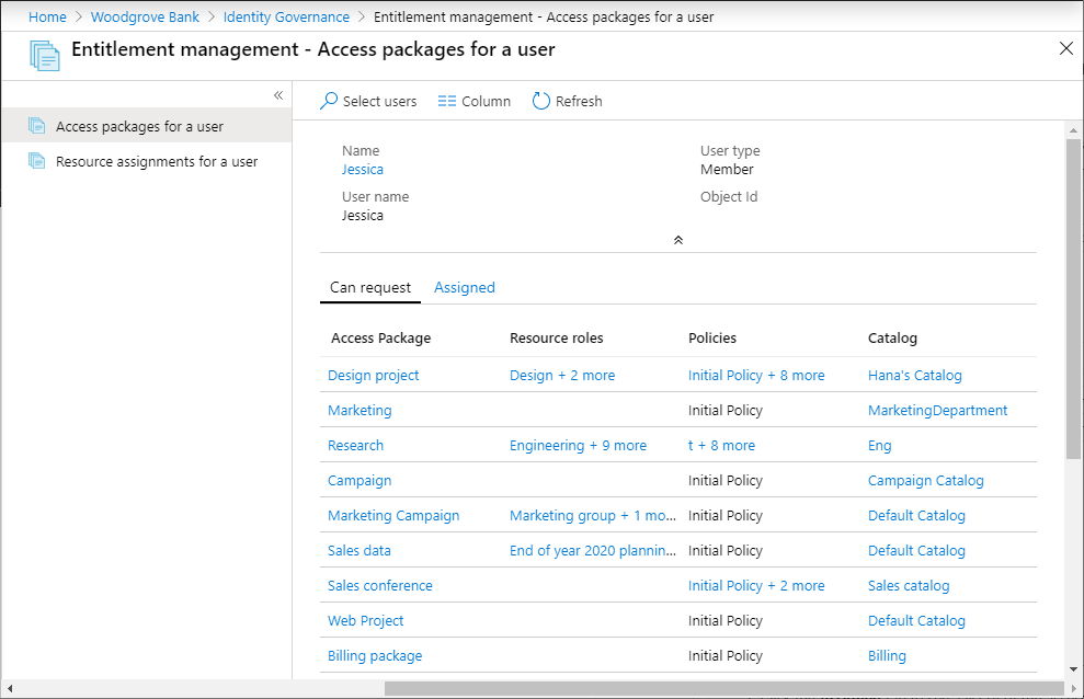 Access packages for a user