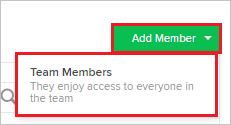 Screenshot that shows the "Add Member" tab and "Team Members" selected.