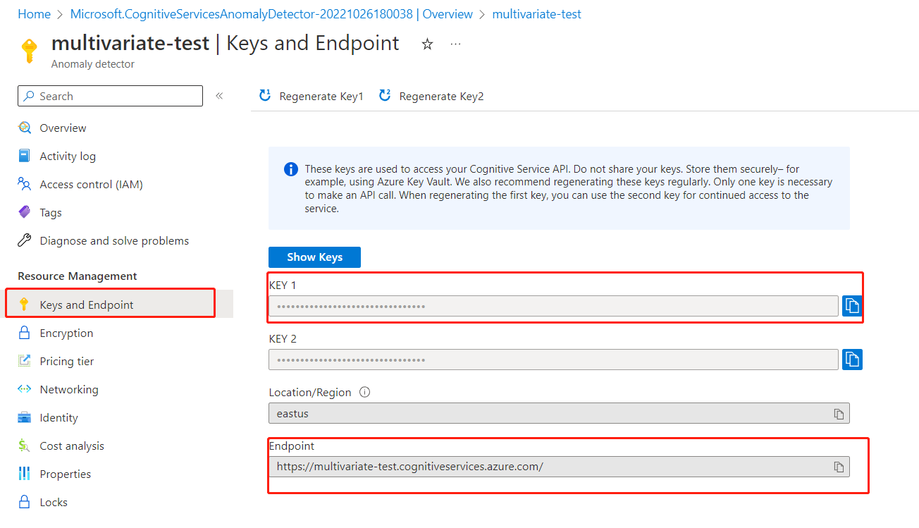 Screenshot of copy key and endpoint user experience