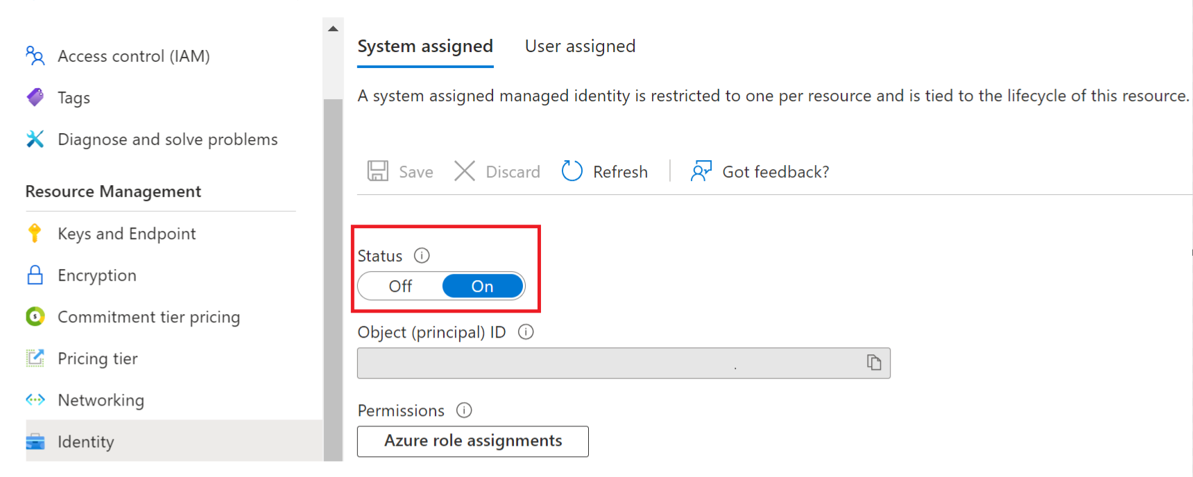 Screenshot that shows the resource management identity tab in the Azure portal.