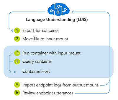 Process for using Language Understanding (LUIS) container