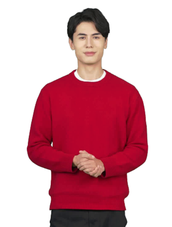 Image of the Harry Avatar (casual style).