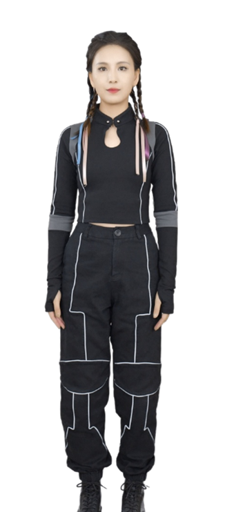 Image of the Lisa Avatar (technical standing style).