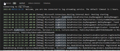 A screenshot showing the output stream of an application login Visual Studio Code.