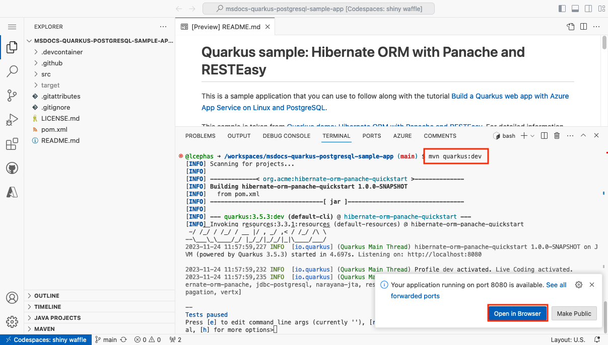A screenshot showing how to run the sample application inside the GitHub codespace.