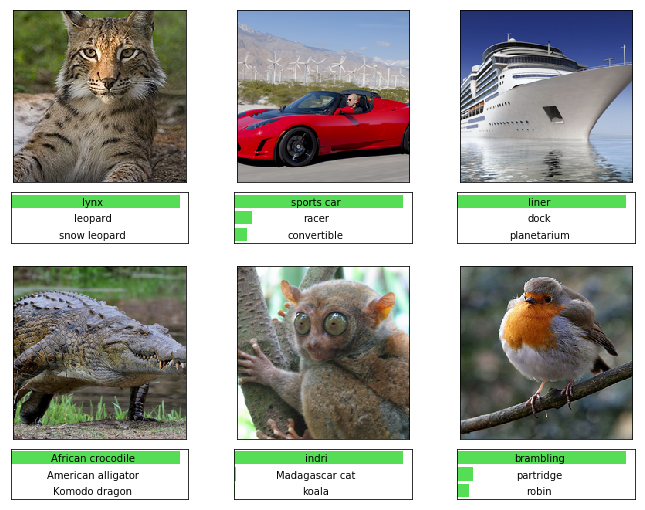 Example of image classification predictions using a Convolutional Neural Network (CNN) model as a web service.