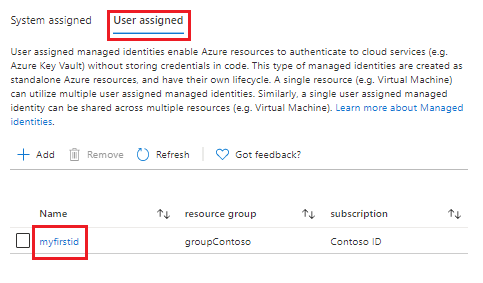 Selecting user-assigned managed identity in portal.