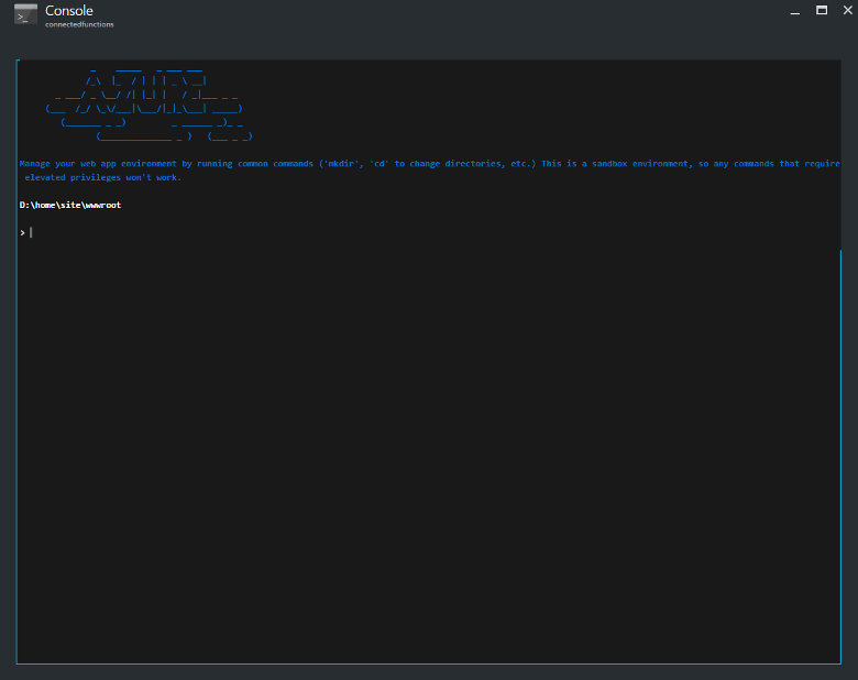 Function app console