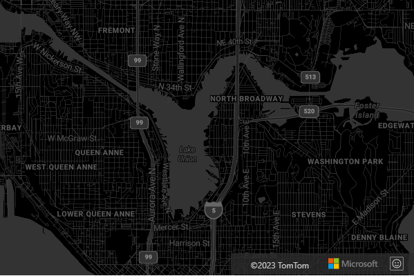Screenshot showing the grayscale dark style being set during the map load process.