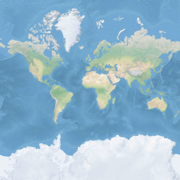World map tile