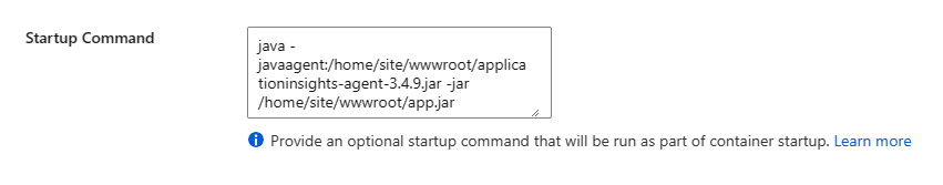 Screenshot of startup command.