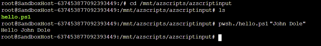 Screenshot of the deployment script connect container instance test output in the console.