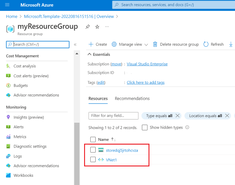 Screenshot of resource group with storage account and virtual network in Azure portal.
