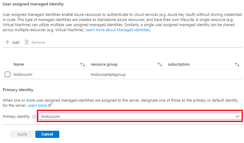 Azure portal screenshot of selecting primary identity for server