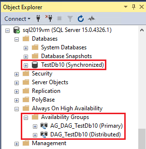 Screenshot that shows the state of the SQL Server database and distributed availability group in S S M S.
