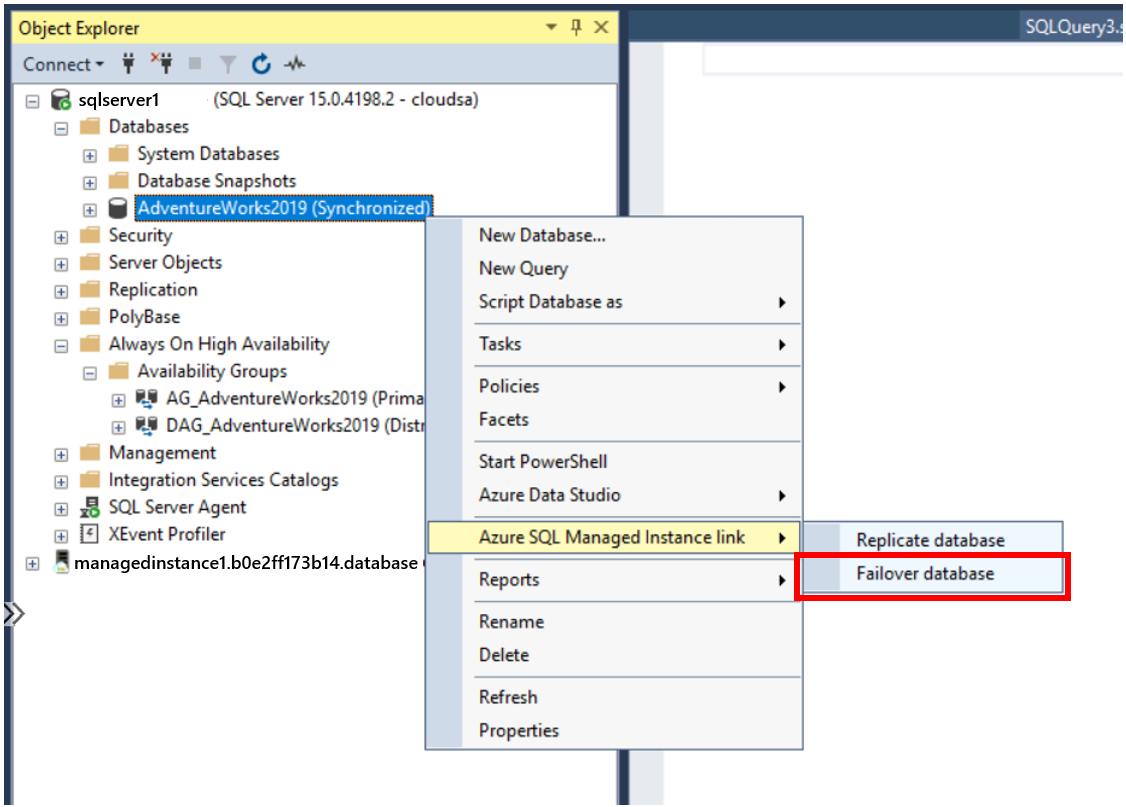 Screenshot that shows a database's context menu option for failover.