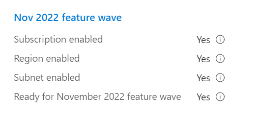Screenshot that shows the Review + create pane in the Azure portal, with the November 2022 feature wave options highlighted.