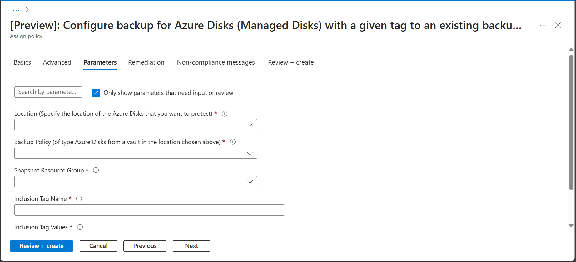 Screenshot showing the Policy Assignment Parameters pane.