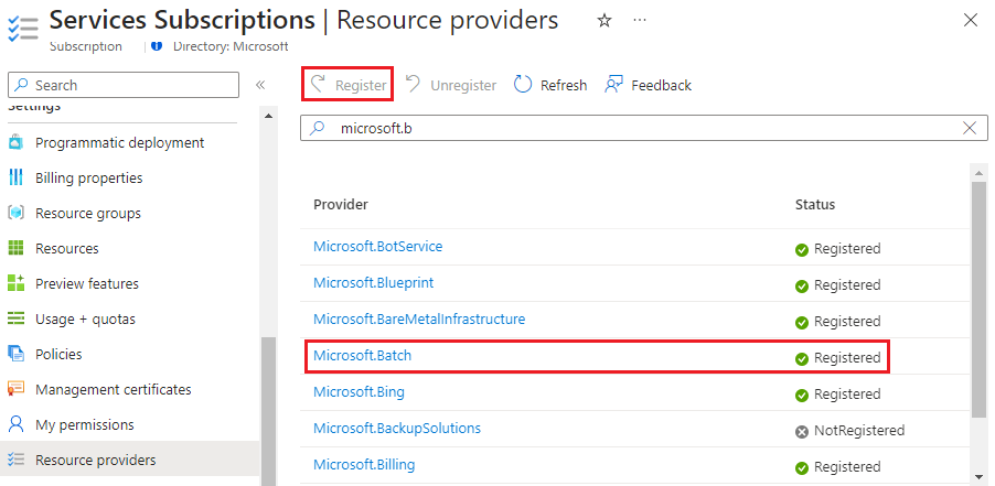 Screenshot showing the Microsoft.Batch resource provider.