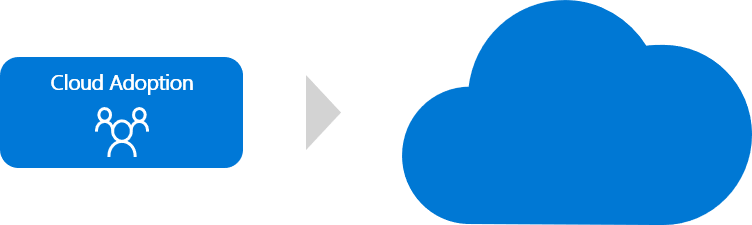 Diagram that shows cloud adoption team only.