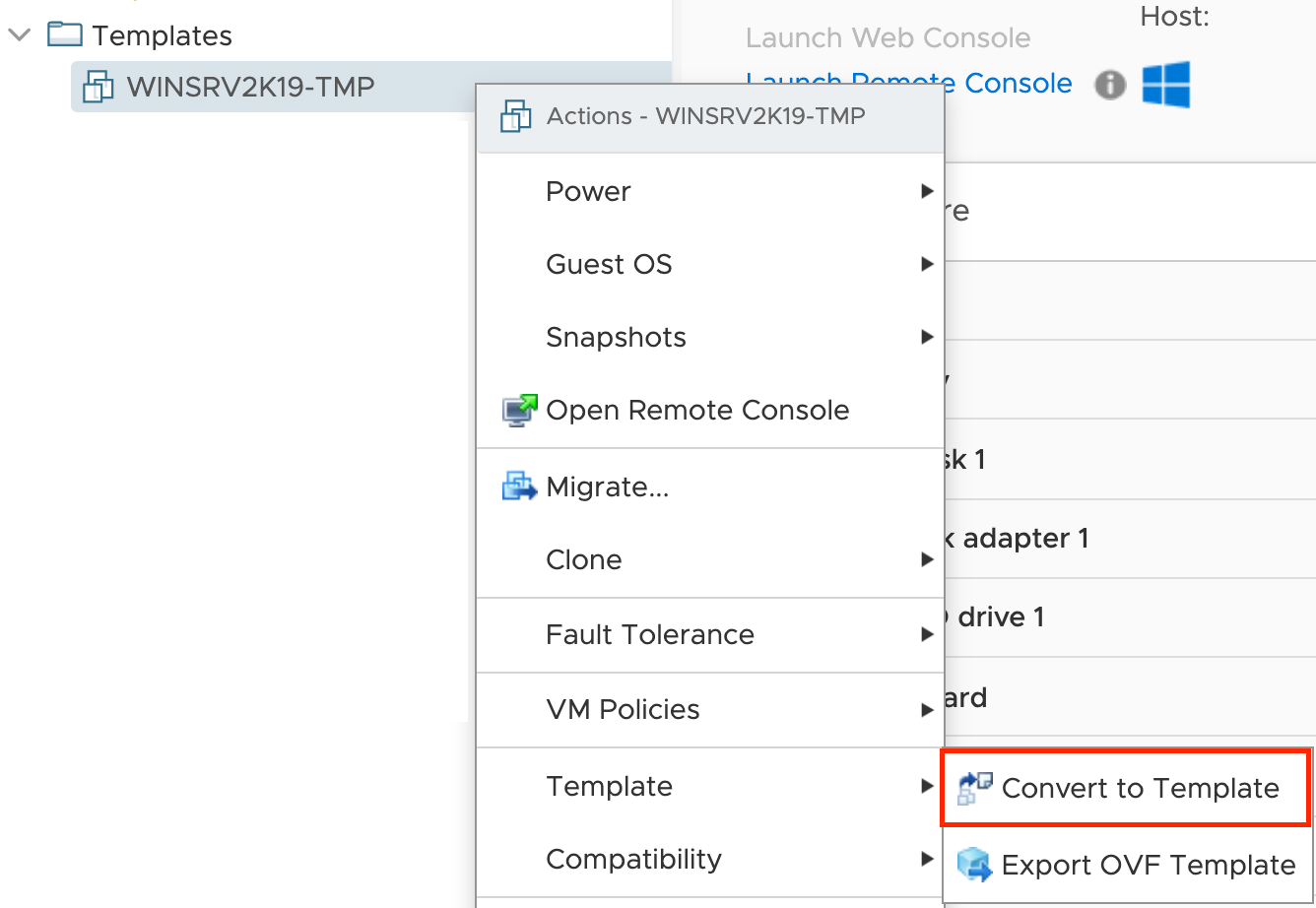 Screenshot of the vSphere client showing Convert to Template button location.