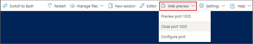 Screenshot of Web Preview menu with open ports.
