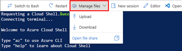Screenshot of the Manage files menu.