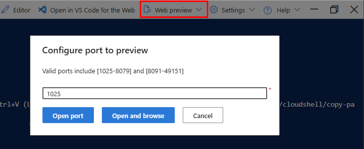 Screenshot of the Web preview button.