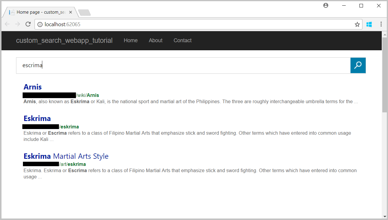 Screenshot of custom search results