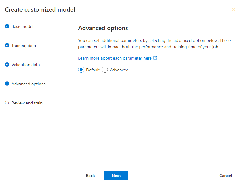 Screenshot of the Advanced options pane for the Create customized model wizard, with default options selected.