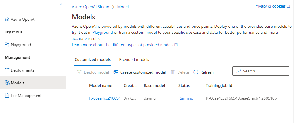 Screenshot of the Models page from Azure OpenAI Studio, with a customized model displayed.