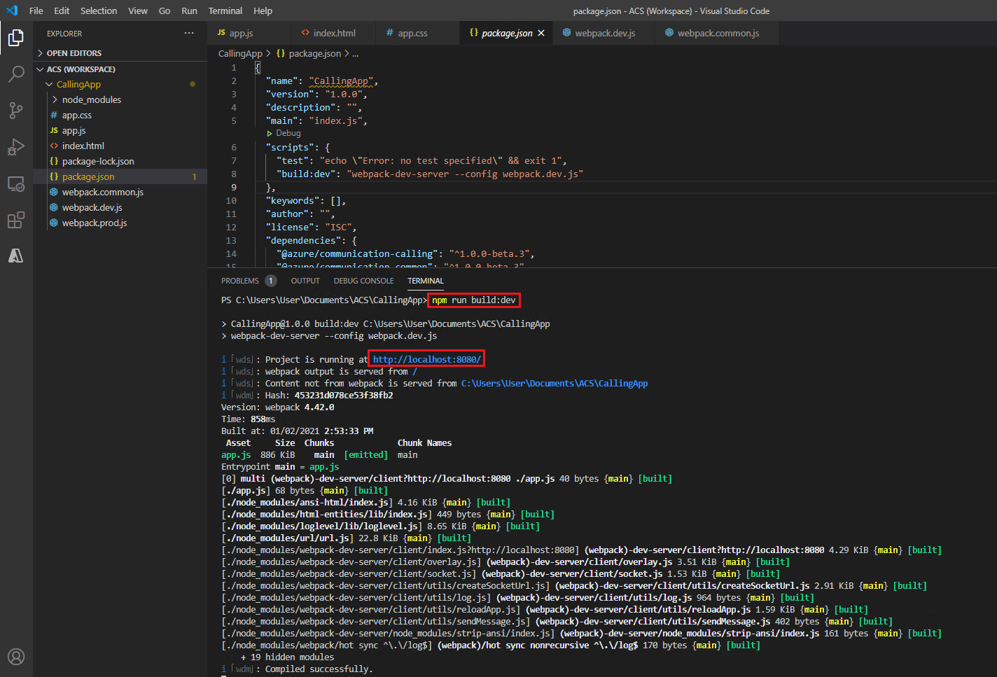 Screenshot that shows starting a development server.