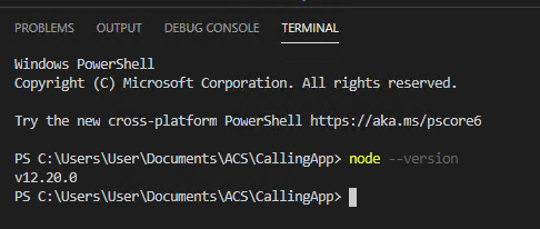 Screenshot that shows validating the Node version.
