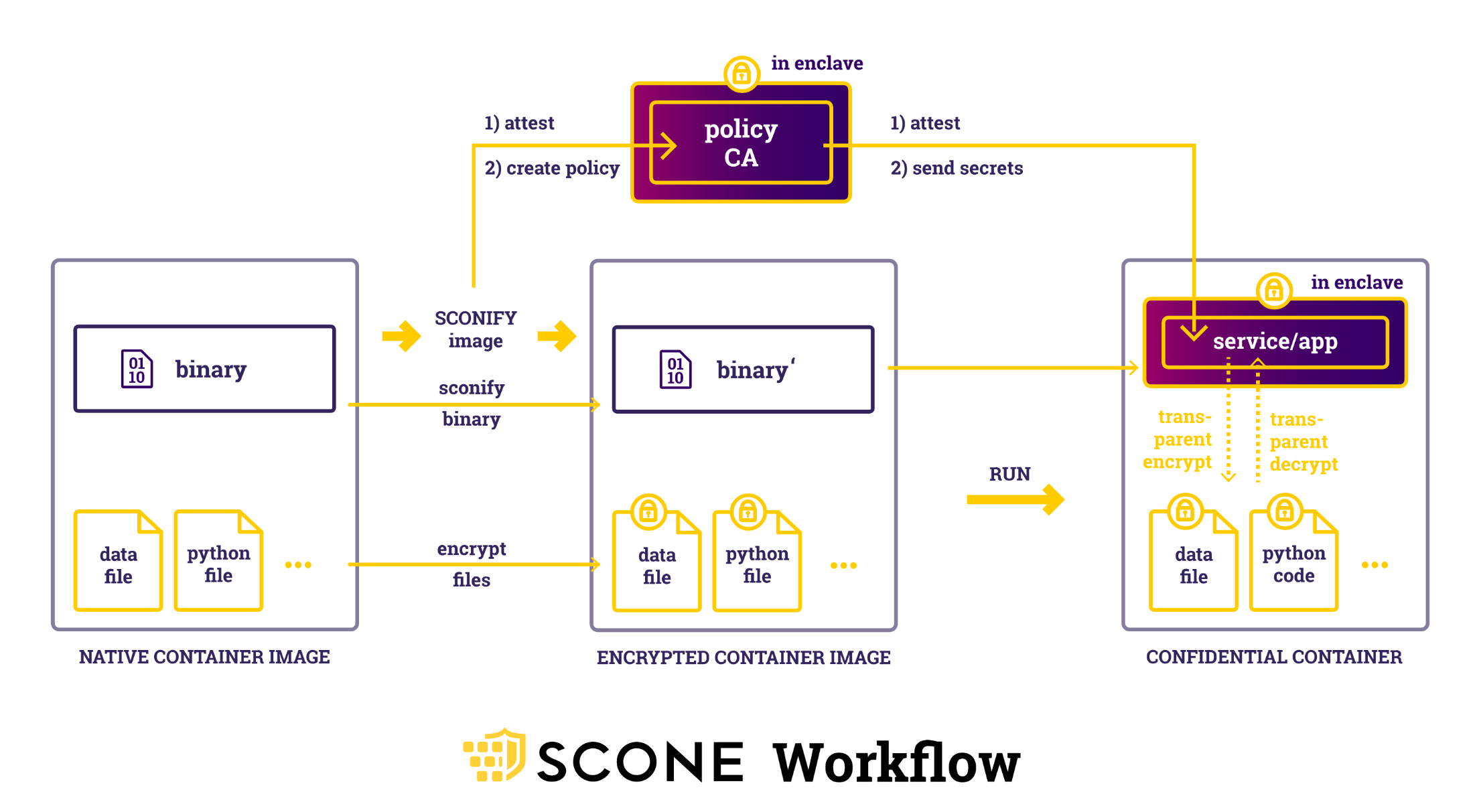 Diagram of SCONE workflow, showing how SCONE processes binary images.