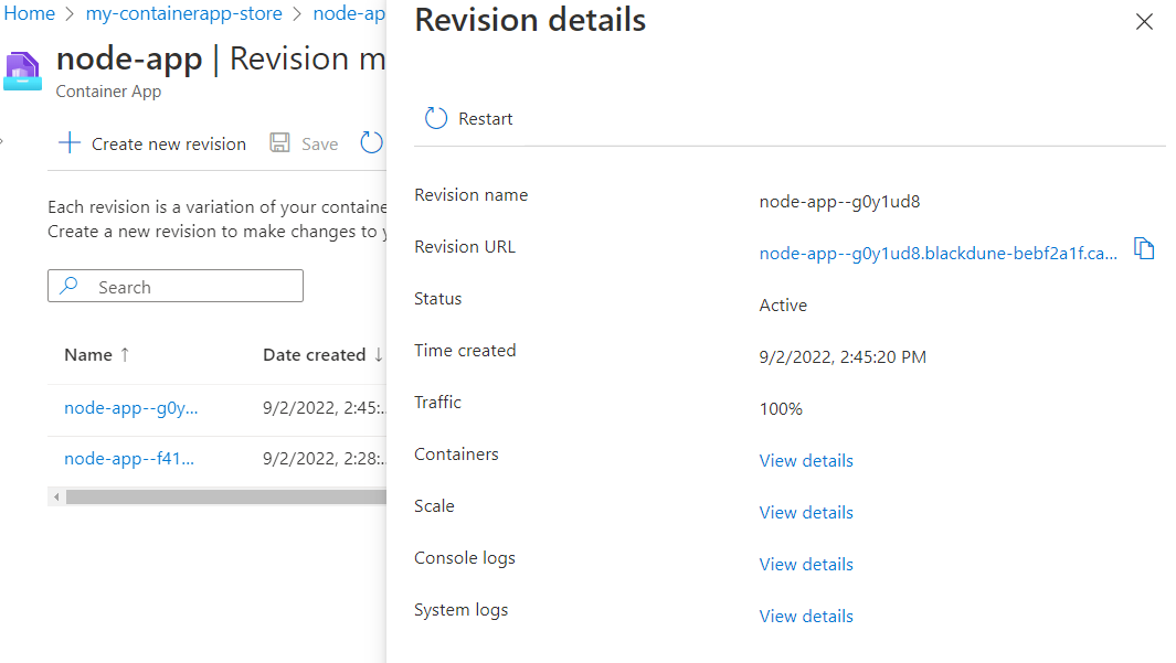 Screenshot of the revision details for the active node app revision.