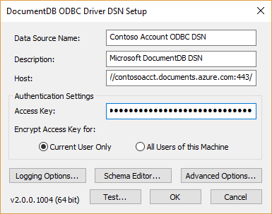 Screenshot of the domain name server (DNS) setup window.