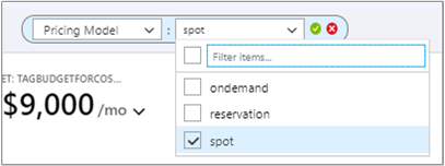 Example showing Spot VM filter