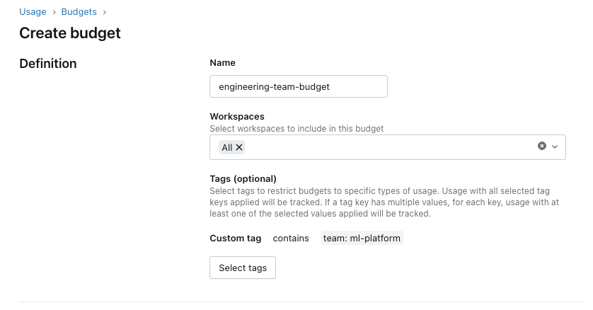 Budget configuration with tags