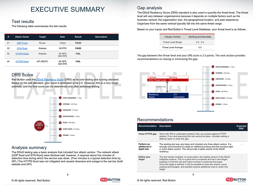 DDoS Test Report Example.