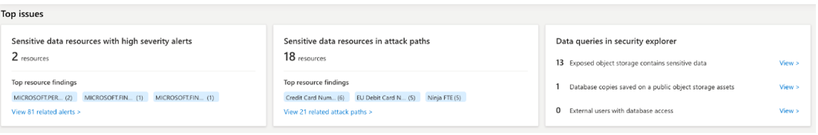 Screenshot that shows the top issues section of the data security view.